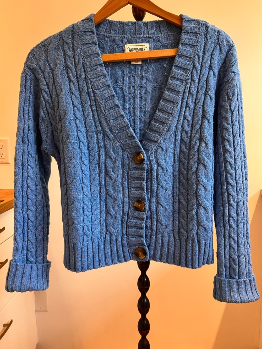 American Eagle Outfitters Blue Cable Knit Button-Front Cardigan